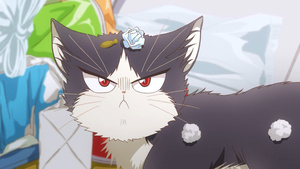 Doukyonin wa Hiza, Tokidoki, Atama no Ue